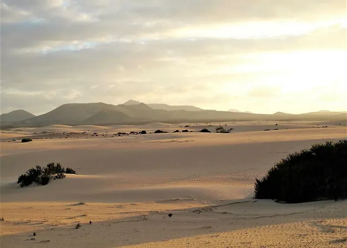 Apartmán Gardenia, Oasis Tamarindo