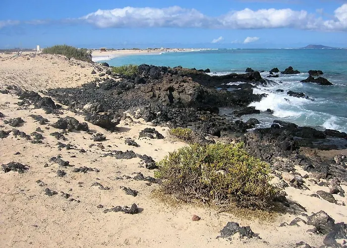 Gardenia, Oasis Tamarindo *