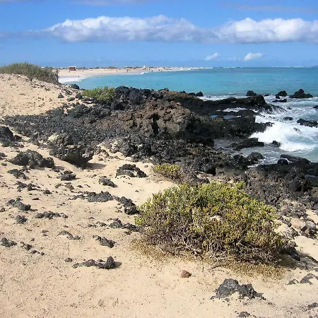 Gardenia, Oasis Tamarindo *